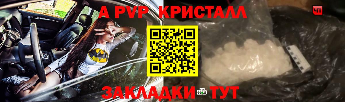 A PVP СК Сосновоборск
