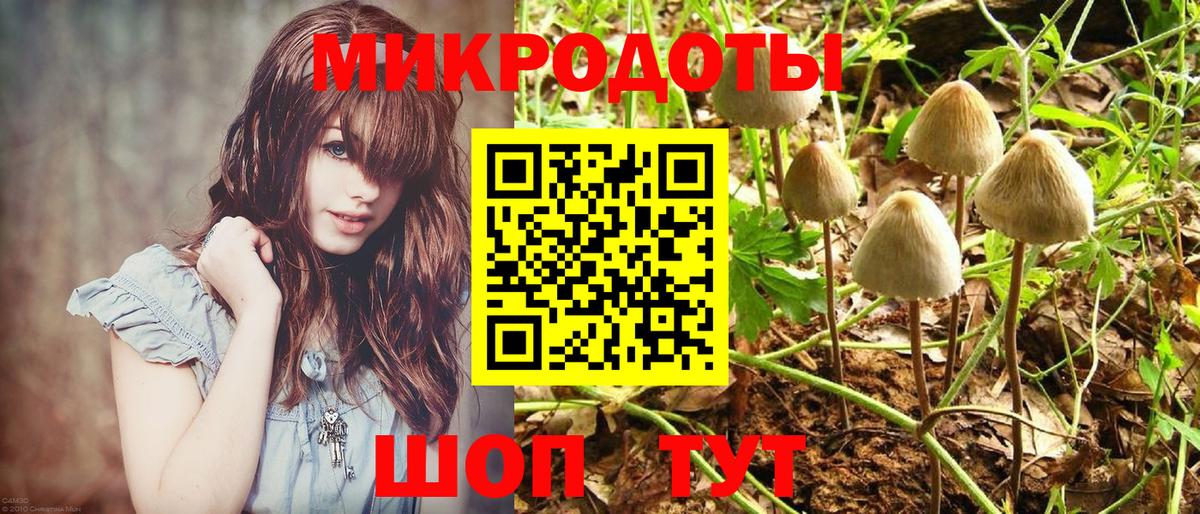 Псилоцибиновые грибы мицелий  Вход с VPN  Сосновоборск 